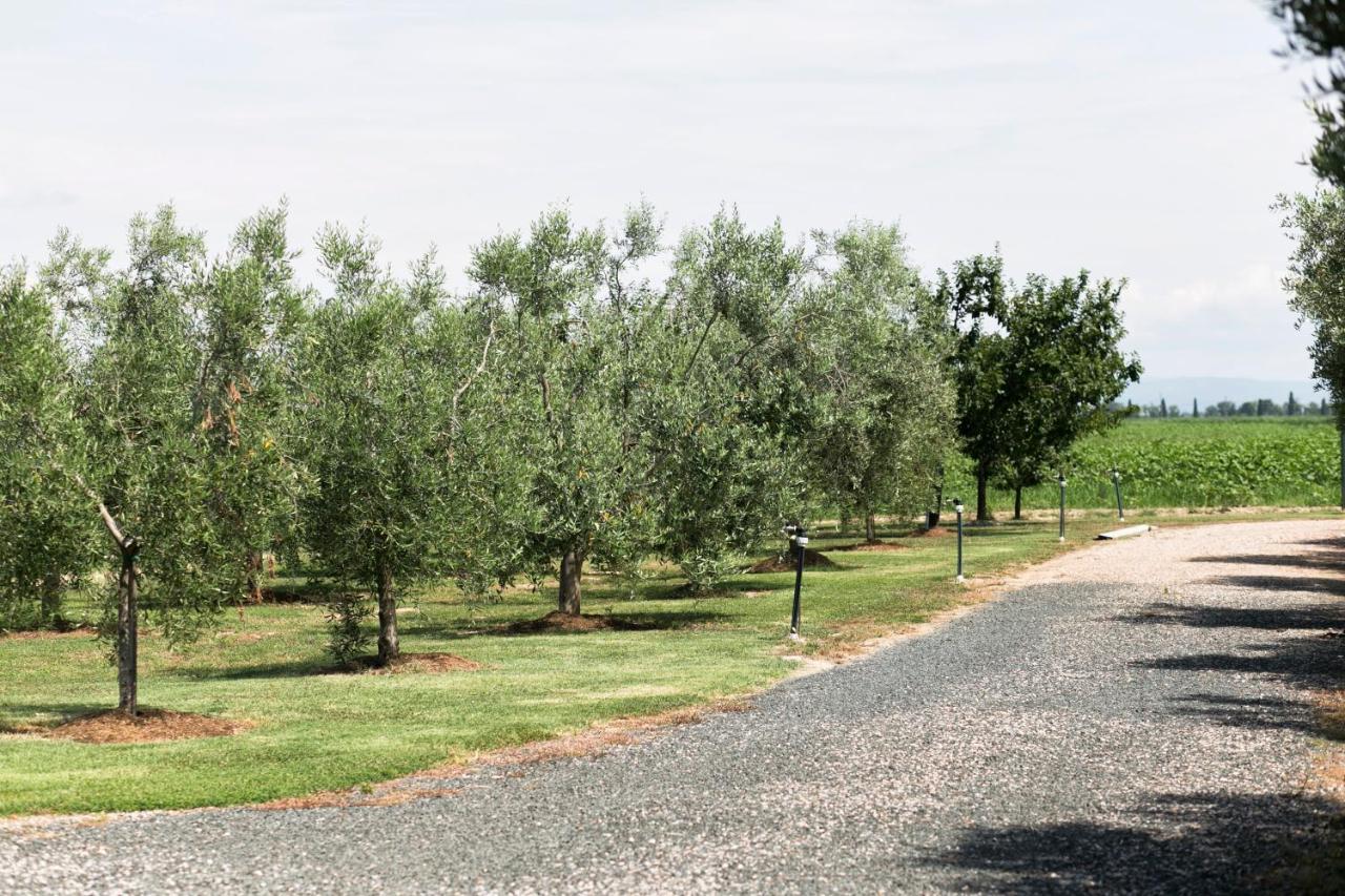 Agriturismo Valdo Grosseto Exterior foto
