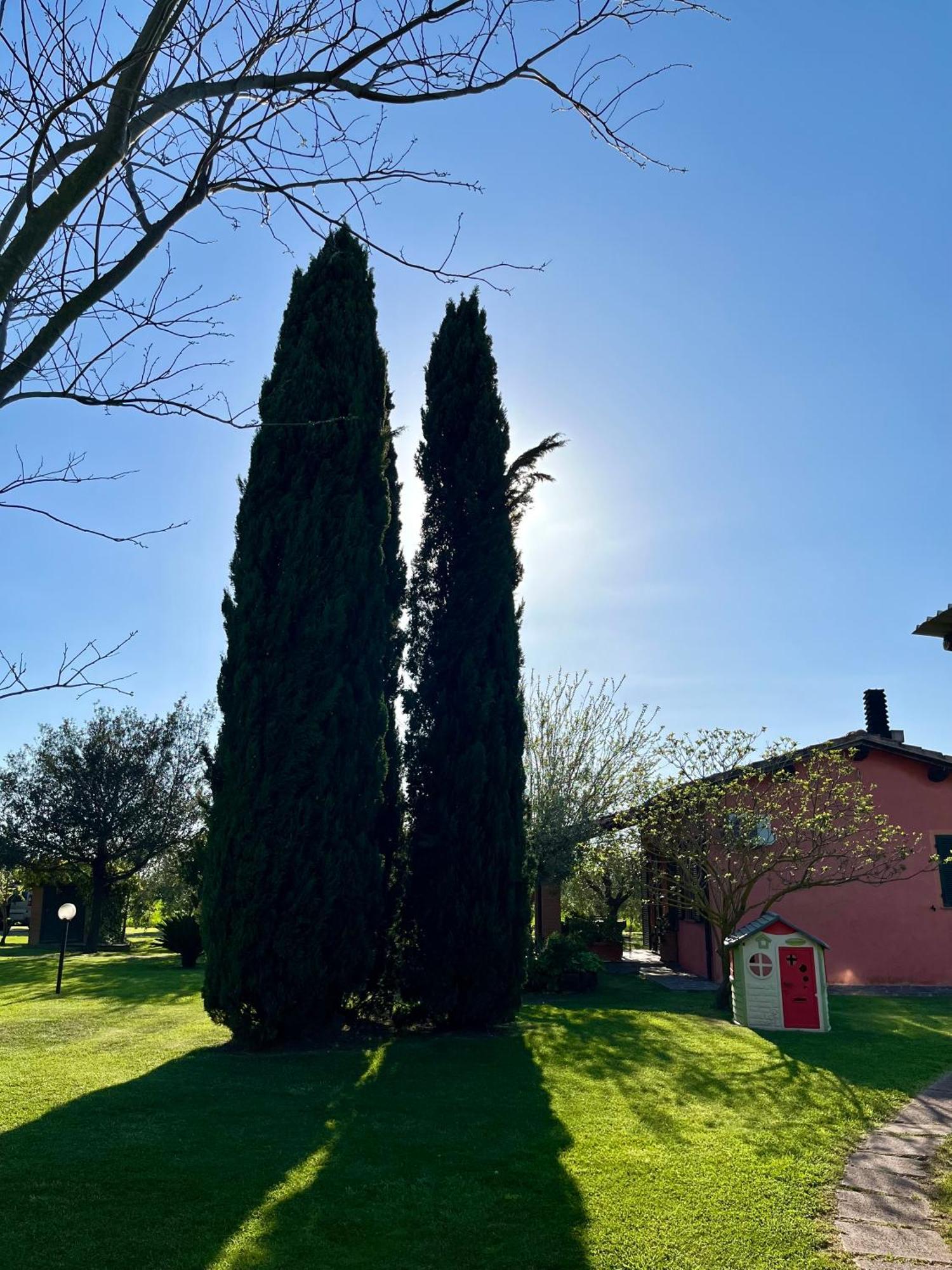 Agriturismo Valdo Grosseto Exterior foto