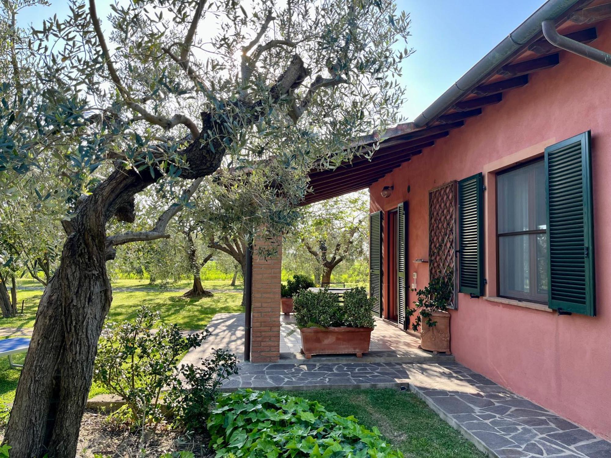 Agriturismo Valdo Grosseto Exterior foto