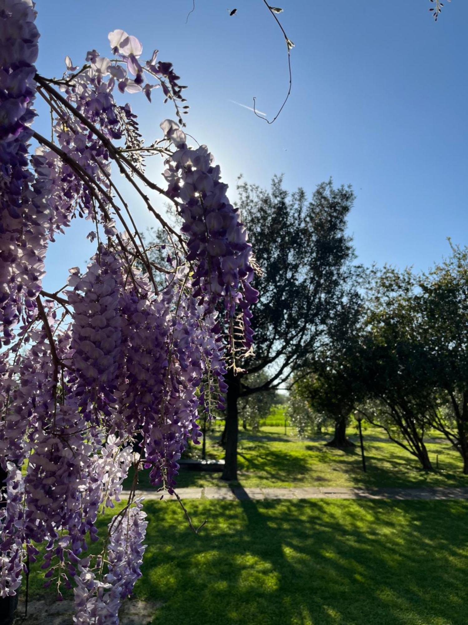 Agriturismo Valdo Grosseto Exterior foto