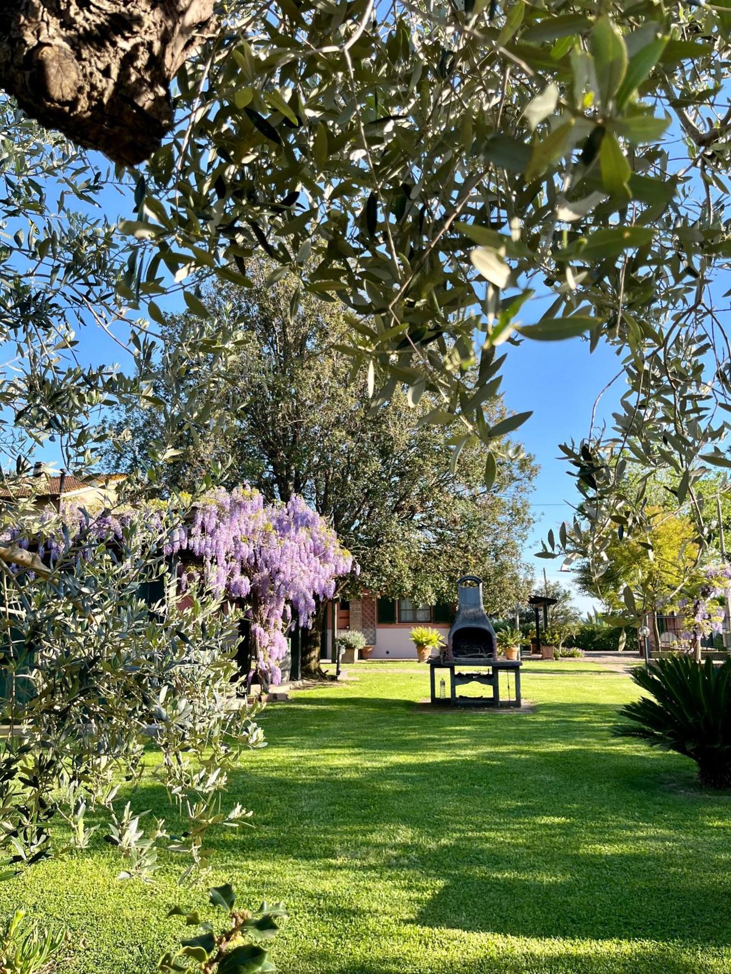 Agriturismo Valdo Grosseto Exterior foto